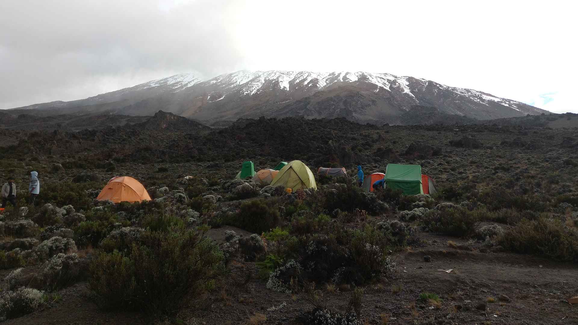 Kilimanjaro 14
